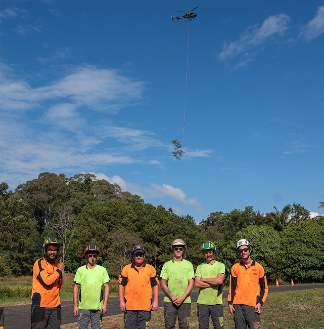 Rotorwing inspiration trees
